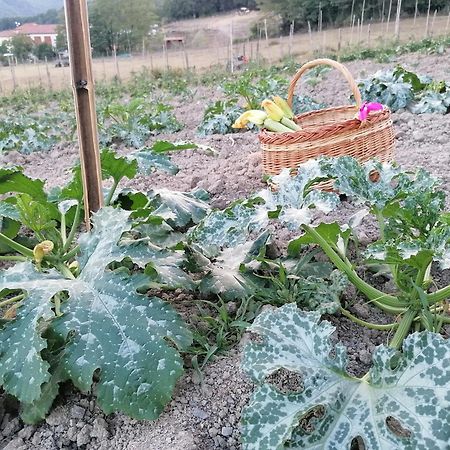 Agriturismo Dei Legi San Pietro Vara Ngoại thất bức ảnh