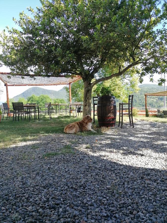 Agriturismo Dei Legi San Pietro Vara Ngoại thất bức ảnh