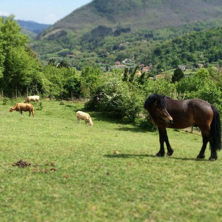 Agriturismo Dei Legi Villa San Pietro Vara Ngoại thất bức ảnh