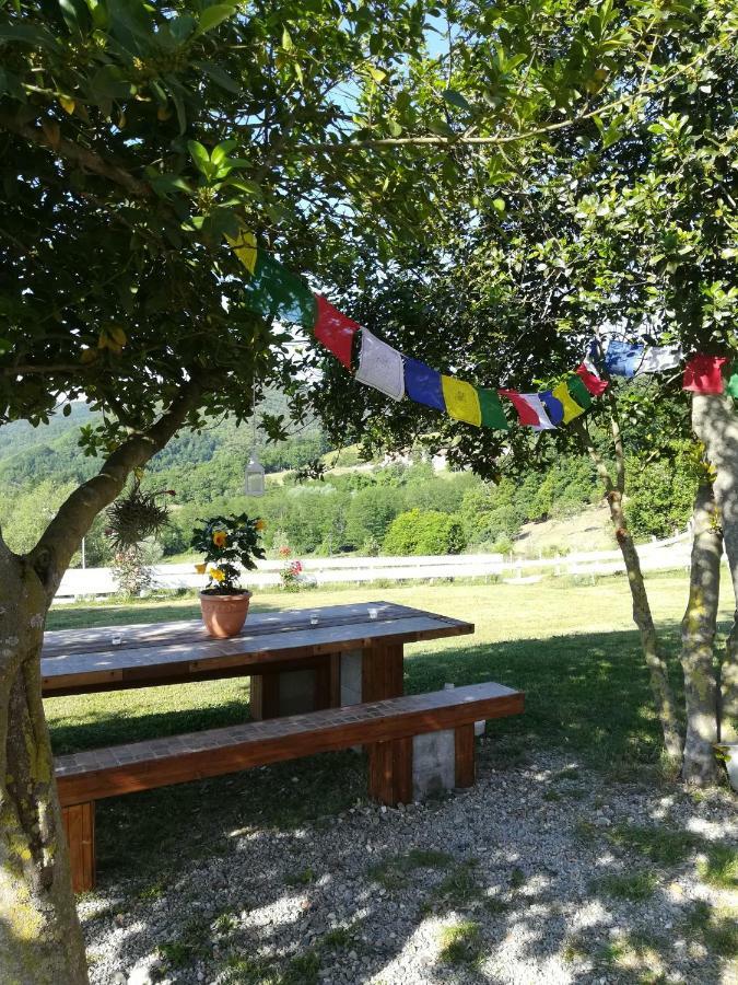 Agriturismo Dei Legi San Pietro Vara Ngoại thất bức ảnh