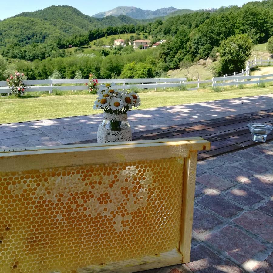 Agriturismo Dei Legi San Pietro Vara Ngoại thất bức ảnh