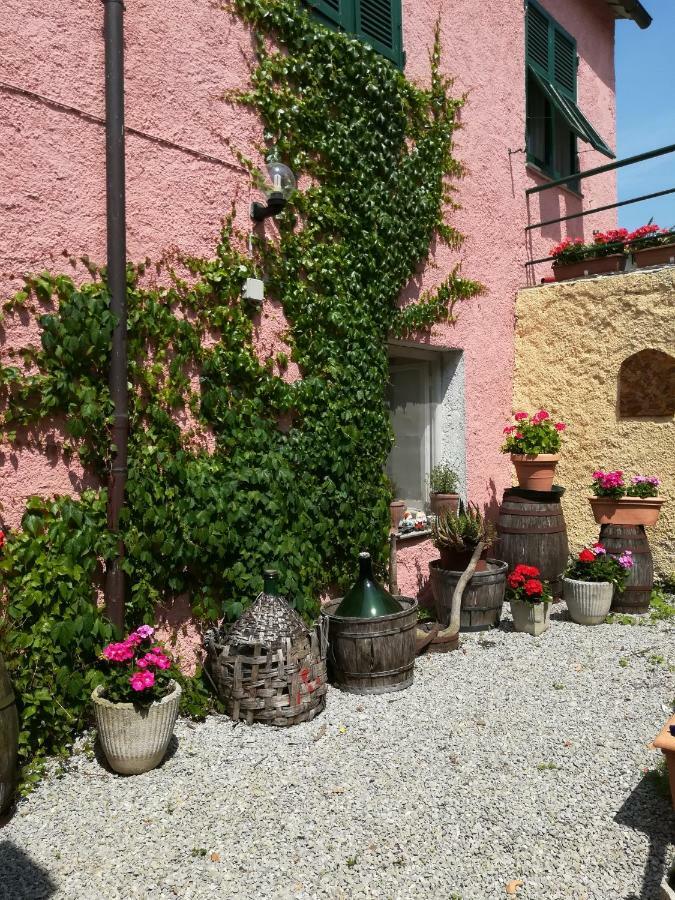 Agriturismo Dei Legi San Pietro Vara Ngoại thất bức ảnh