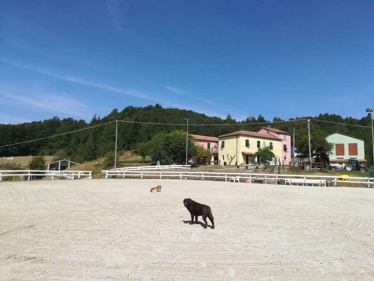 Agriturismo Dei Legi San Pietro Vara Ngoại thất bức ảnh